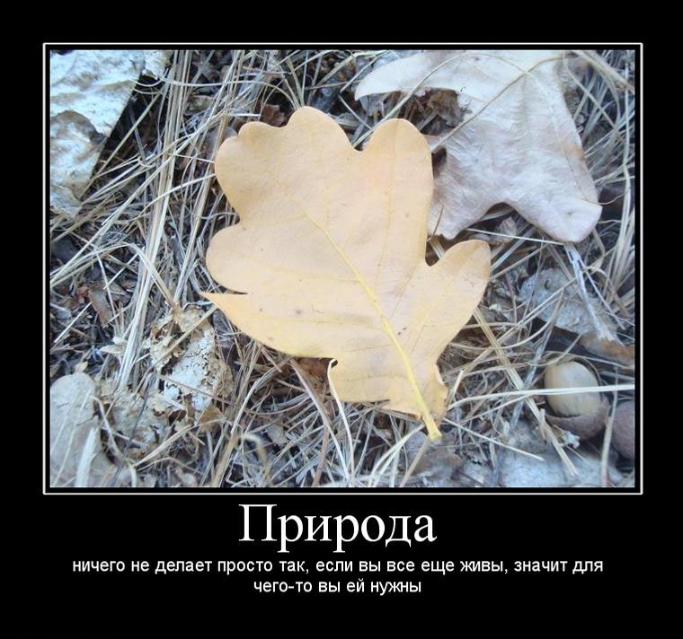 Просто статусы о природе Просто статусы о природе